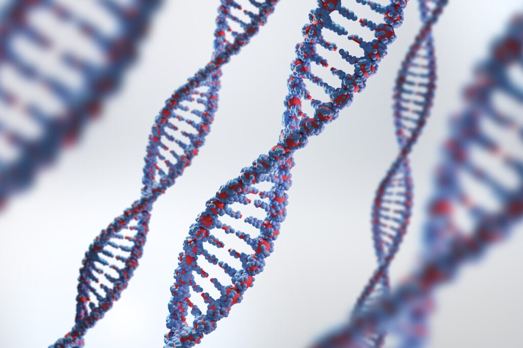 Consejo genético en cáncer