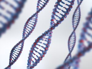 Consejo genético en cáncer