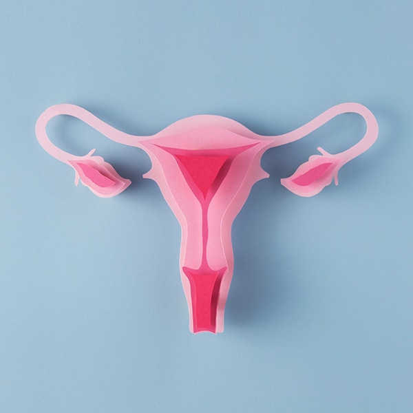 Nou protocol per a la Detecció Precoç del Càncer de Coll Uterí a Catalunya - Edició Setembre 2025